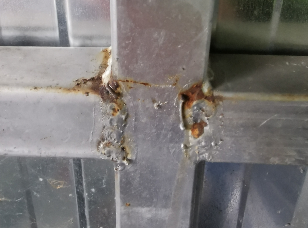 IMG_20250227_0951124wtsergbdfsrth